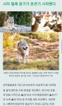 환경이 바뀌면 동물들도 바뀐다는 걸 보여준 전주동물원...jpg - 인스티즈(instiz) 이슈 카테고리 환경이 바뀌면 동물들도 바뀐다는 걸... 