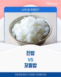 밥 취향 진밥v꼬들밥 - 인스티즈(instiz) 이슈 카테고리 밥 취향 진밥v꼬들밥