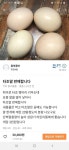 더쿠 - 타조알도 파는 당근마켓.JPG