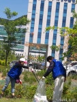 입양도로~~자금동거성a부터금오초등학교 - 금오동 위원회 - 바르게살기운동 의정부시협의회 입양도로~~자금동거성a부터금오초등학교