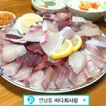 이번주가 끝물! 5대 방어회 맛집 | 1boon 이번주가 끝물! 5대 방어회 맛집