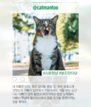 요즘 핫한 고양이는 퍼스트캣 찡찡이? | 1boon 요즘 핫한 고양이는 퍼스트캣 찡찡이?