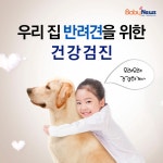 우리집 강아지를 위한 건강검진