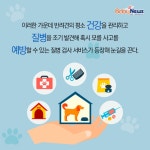 우리집 강아지를 위한 건강검진