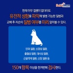 우리집 강아지를 위한 건강검진