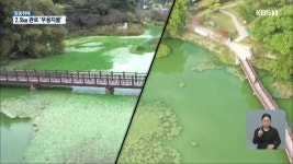 [집중취재]① 광주 풍암저수지 수질개선 하세월..왜? - kakaoTV [집중취재]① 광주 풍암저수지 수질개선 하세월..왜?