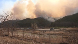 건조·고온에 양간지풍 겹쳤다..주말∼휴일, 산불 초비상 - kakaoTV 건조·고온에 양간지풍 겹쳤다..주말∼휴일, 산불 초비상