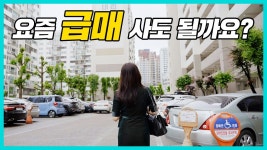 줍줍하려면 상계보단 중계 - kakaoTV [백윤미의 손품임장] 집값 제일 많이 빠진 노원.. 줍줍하려면 상계보단 중계
