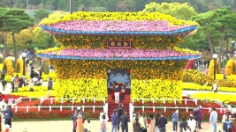 [날씨] 함평 국화 축제 한창..내일부터 기온 뚝 - kakaoTV [날씨] 함평 국화 축제 한창..내일부터 기온 뚝