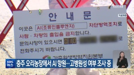 충주 오리농장에서 AI 항원…고병원성 여부 조사 중 - kakaoTV 충주 오리농장에서 AI 항원…고병원성 여부 조사 중