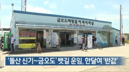 [여기는 전남] ‘돌산 신기~금오도’ 뱃길 운임, 한달여 ‘반값’ 외 - kakaoTV [여기는 전남] ‘돌산 신기~금오도’ 뱃길 운임, 한달여... 