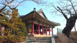 [뉴스광장 영상] 경포대 - kakaoTV [뉴스광장 영상] 경포대