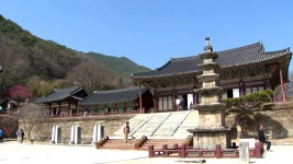 공양미도 친환경 쌀...지역과 함께하는 화엄 세상 - kakaoTV 공양미도 친환경 쌀...지역과 함께하는 화엄 세상