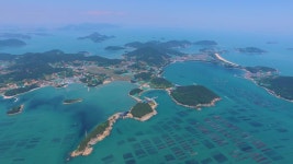 해양치유 관광 중심 완도...경제적 파급효과 4조 원 - kakaoTV 해양치유 관광 중심 완도...경제적 파급효과 4조 원