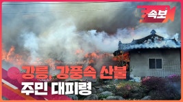 [속보영상] 강릉시 난곡동 강풍속 산불 확산…주민 대피령 - kakaoTV [속보영상] 강릉시 난곡동 강풍속 산불 확산…주민 대피령