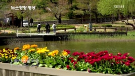 [뉴스광장 영상] 북서울꿈의숲 - kakaoTV [뉴스광장 영상] 북서울꿈의숲