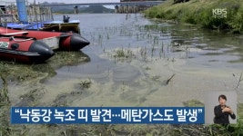 “낙동강 녹조 띠 발견…메탄가스도 발생” - kakaoTV “낙동강 녹조 띠 발견…메탄가스도 발생”