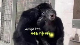 [오늘의 영상] 28년 만에 처음 본 바깥 세상 - kakaoTV [오늘의 영상] 28년 만에 처음 본 바깥 세상