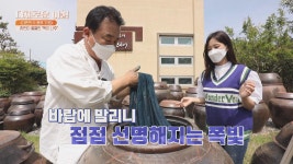 명인이 평생 지켜온🥰 자연이 물들인 다채로운 색 쪽빛 | JTBC 210607 방송 - kakaoTV 명인이 평생 지켜온🥰 자연이 물들인... 
