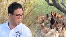 자기야-백년손님 277회 - kakaoTV 자기야-백년손님 277회