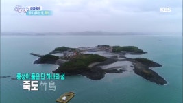 생기가 넘치는 섬, 죽도 - kakaoTV 생기가 넘치는 섬, 죽도