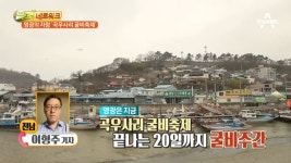 영광의 자랑 곡우사리 굴비축제 - kakaoTV 영광의 자랑 곡우사리 굴비축제