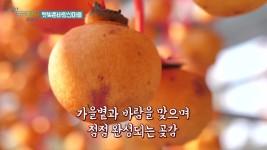 햇빛촌바랑산마을 - kakaoTV 햇빛촌바랑산마을