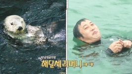 김병만, 못 잡던 해삼과 전복 수확 기념으로 보여준 ‘해달 세리머니’ - kakaoTV 김병만, 못 잡던 해삼과 전복 수확 기념으로 보여준 ‘해달... 