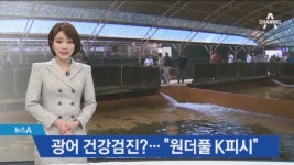 광어 건강검진?…“원더풀 K피쉬!” 제주 찾은 해외 바이어 - kakaoTV 광어 건강검진?…“원더풀 K피쉬!” 제주 찾은 해외 바이어