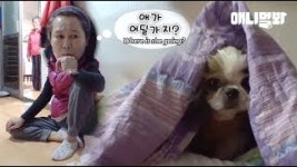 우울장애를 겪고있던 강아지가 동물농장 PD를 만났더니..... 동물농장 PD를 만났더니.. 대박 ㅣ＂I Go Nuts Because Of My Dog＂