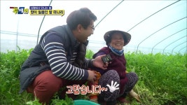 풍물 (의령에서 만나는 봄-향이 일품인 밭 미나리) - kakaoTV  풍물 (의령에서 만나는 봄-향이 일품인 밭 미나리) 