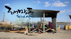 해망동 황해도 사람들 1 - kakaoTV 해망동 황해도 사람들 1