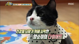 건강을 찾기 위해 시작한 양순이의 다이어트! - kakaoTV 건강을 찾기 위해 시작한 양순이의 다이어트!