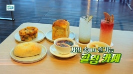 자연 속에서 즐기는 힐링 카페 - kakaoTV 자연 속에서 즐기는 힐링 카페