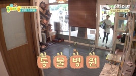 오주은네 동물병원 첫 입성! 과연 무슨일이?! - kakaoTV 오주은네 동물병원 첫 입성! 과연 무슨일이?!