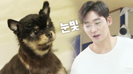 이태성, 의젓한 반려견 ‘카오 목욕기’ - kakaoTV 이태성, 의젓한 반려견 ‘카오 목욕기’