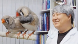 ‘유별난 새사랑♥’ 치과의사의 특별한 취미 - kakaoTV ‘유별난 새사랑♥’ 치과의사의 특별한 취미