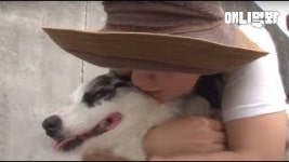 “삐삐야 엄마가 미안해 안 들리는 줄도 모르고..” ㅣ＂My Dear Dog, Sorry I Didnt Realize That You Couldnt Hear..... 
