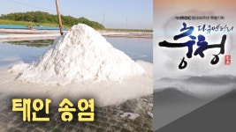 다큐멘터리 충청 - 1부 서해 태안 송엽 - kakaoTV 다큐멘터리 충청 - 1부 서해 태안 송엽