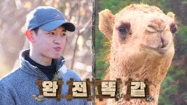 “30번 씹으니까!” 민호, 첫 먹거리 야생 칡 시식 (ft. 칡 갈비) - kakaoTV “30번 씹으니까!” 민호, 첫 먹거리 야생 칡 시식 (ft. 칡 갈비)