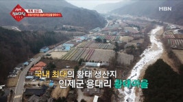 국내 최대 황태 생산지! 황태마을! - kakaoTV 국내 최대 황태 생산지! 황태마을!