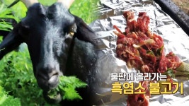전남 장흥 방목장에서 자란 ‘흑염소’ - kakaoTV 전남 장흥 방목장에서 자란 ‘흑염소’