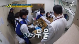 잠들었어도 호랑이는 호랑이ㄷㄷ... 대학병원 뒤집어 놓은 CT촬영 현장! - kakaoTV 잠들었어도 호랑이는 호랑이ㄷㄷ... 대학병원 뒤집어 놓은... 