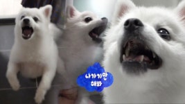 들어올 땐 맘대로지만 나갈 땐 아니라는 ‘설이네’ - kakaoTV 들어올 땐 맘대로지만 나갈 땐 아니라는 ‘설이네’