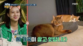 독일인 건축가 다니엘의 부캐는 냥집사? (ft. 앵두&노을) MBN... 독일인 건축가 다니엘의 부캐는 냥집사? (ft. 앵두&노을) MBN 210802 방송