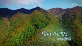 삼도를 품은 밥상 - 백두대간 삼도봉 - kakaoTV 삼도를 품은 밥상 - 백두대간 삼도봉