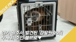 경기 광주서 발견된 긴팔원숭이! 무사히 주인 품으로♥ - kakaoTV 경기 광주서 발견된 긴팔원숭이! 무사히 주인 품으로♥