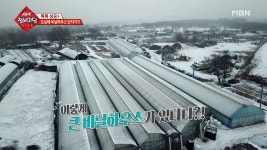 도심 한가운데 최신식 비닐하우스가!? - kakaoTV 도심 한가운데 최신식 비닐하우스가!?