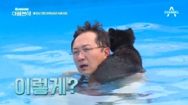 이곳이 애견 천국?! 마루x아라의 생애 첫 수영 도전기! - kakaoTV 이곳이 애견 천국?! 마루x아라의 생애 첫 수영 도전기!