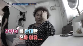 혜자가 고양이 가족을 반대하는 진짜 이유는? - kakaoTV 혜자가 고양이 가족을 반대하는 진짜 이유는?